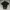 Burberry Casual Polo Shirt Pria Black