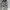 Nike Streetwear Skater Sneakers Pria white photo 4