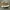 Nike Streetwear Skater Sneakers Pria brown yellow photo 2