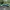 New Balance Streetwear Sportswear Sneakers Pria multicolor green photo 1