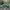 New Balance Streetwear Sportswear Sneakers Pria Multicolor Green