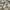 Japanese brand Vintage Y2K Casual pants Pria tan cream photo 6