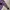 Mercibeaucoup Streetwear Luxury Shirt Wanita purple pink photo 6
