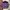 Mercibeaucoup Streetwear Luxury Shirt Wanita purple pink photo 4