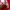 Oakley Vintage Streetwear Short Pria white red photo 4