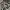 Ellesse Minimalist Track jacket Pria gray photo 1