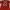 Adidas Sportswear Jersey Pria red photo 2