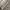 WHO.A.U Casual Sweater Pria gray photo 5