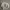 WHO.A.U Casual Sweater Pria gray photo 1