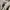 WHO.A.U Casual Sweater Pria gray photo 2