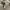 WHO.A.U Casual Sweater Pria gray photo 4