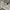 WHO.A.U Casual Sweater Pria gray photo 3