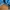 Minimalist Casual Wanita blue photo 3