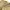 Tsumori Chisato Vintage Casual Short Pria tan photo 4
