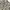 Streetwear Sportswear T-shirt Pria tan brown photo 3