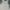 Cotton On Fairy Coquette Summer dress Wanita white photo 1