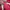 Nike Streetwear Sportswear Hoody Pria pink photo 5
