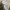 Nike Streetwear Sportswear Sneakers Pria white photo 3