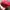 Chase Nascar Vintage Streetwear Hat Pria red photo 3