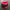 Chase Nascar Vintage Streetwear Hat Pria red photo 6