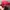 Chase Nascar Vintage Streetwear Hat Pria red photo 2