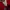 Vision Street Wear Streetwear Windbreaker Pria red photo 2