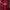 Adidas Sportswear Jersey Pria red black photo 1
