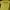 Hanes Avant Garde T-shirt Pria yellow photo 1