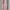 Maxi dress Wanita pink photo 4