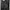 Kolon Sport Sportswear Pria Black Gray