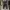 Kolon Sport Sportswear Pria black gray photo 1