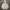 Le Coq Sportif Vintage Streetwear Hoody Pria white photo 1