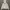 Le Coq Sportif Vintage Streetwear Hoody Pria white photo 4