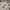 Lotto Sport Italia Vintage Y2K Jersey Pria white red photo 2