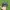Vintage Skater Hat Pria Green Navy