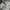 Champion Vintage Y2K Windbreaker Pria white photo 4
