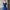 Vintage Summer dress Wanita navy blue photo 2