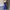 Vintage Summer dress Wanita navy blue photo 1