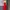 Vintage Evening Dress Wanita Red