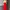 Vintage Evening dress Wanita red photo 3