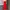 Vintage Evening dress Wanita red photo 4