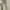 Dickies Casual Formal pants Pria tan cream photo 2