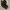 Made in USA Minimalist Boots Wanita tan brown photo 1