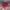 Stussy Vintage Streetwear Hat Pria red photo 3