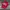 Stussy Vintage Streetwear Hat Pria red photo 2