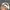 Stussy Vintage Streetwear Hat Pria white photo 3