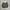 Indie Bomber jacket Pria green photo 2