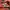 Louis Vuitton Y2K Avant Garde Blouse Wanita multicolor burgundy photo 4
