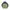 Gorpcore Parka Pria green photo 1