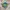 Gorpcore Parka Pria green photo 8